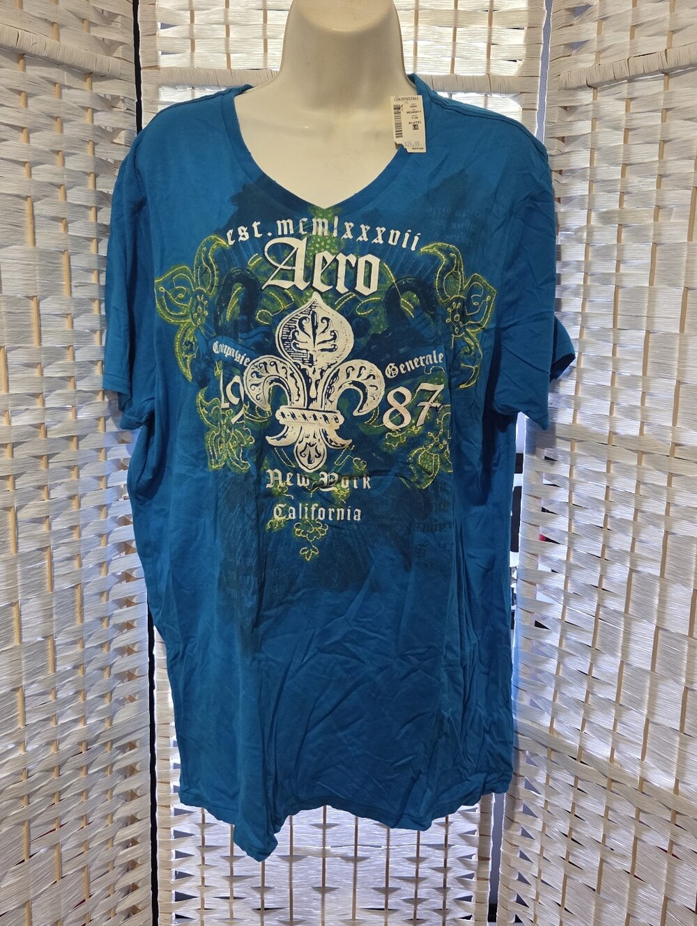 Aeropastale Blue Graphic V-Neck Men's Shirt